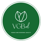 Logo VGBel