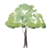 Logo Woodcote Consulting