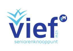 Logo VIEF