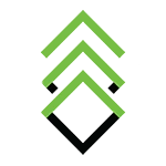 Logo FIVE NINES