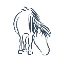 Logo Pony Connect