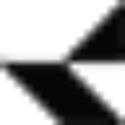 Logo RAIMONDI