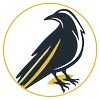 Logo CORVUS SOLUTIONS