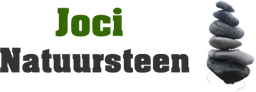 Logo JOCI