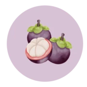 Logo MANGOSTEEN