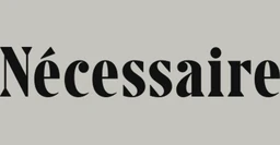 Logo NECESSAIRE