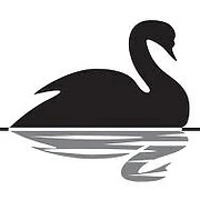 Logo BLACK SWAN GROUP