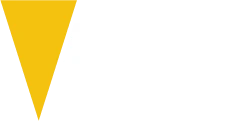 Logo Vking