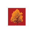Logo Tuinen Hendrix