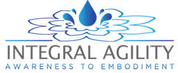 Logo Integral Agility