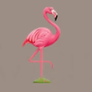 Logo The Pink Flamingo's