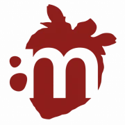Logo Mattivi SRL