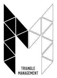Logo Triangle Management