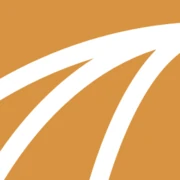 Logo The Polar Project