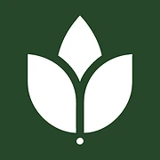 Logo Verde Management