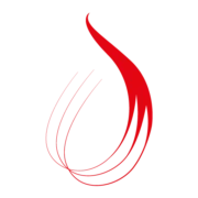 Logo STARSAVOR GROUP