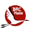 Logo BUDO RESEARCH CENTRUM HALLE