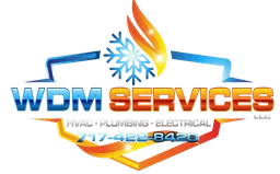 Logo WDM SERVICES