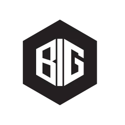 Logo Building Investment Group