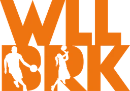 Logo BASKET WILLEBROEK