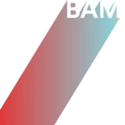 Logo BAM-Projects