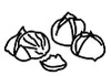 Logo LES MARRONNIERS
